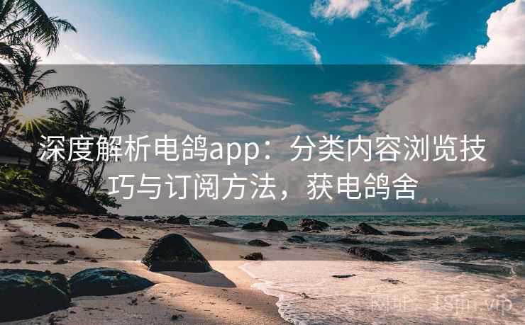 深度解析电鸽app：分类内容浏览技巧与订阅方法，获电鸽舍