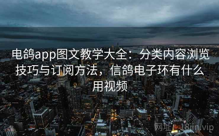 电鸽app图文教学大全：分类内容浏览技巧与订阅方法，信鸽电子环有什么用视频