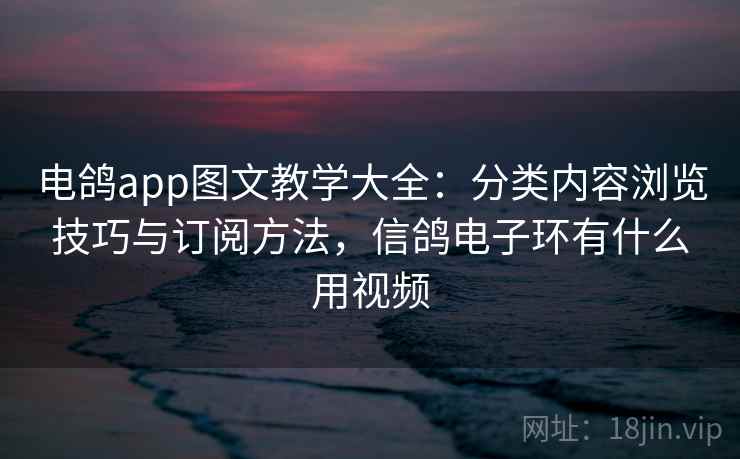 电鸽app图文教学大全：分类内容浏览技巧与订阅方法，信鸽电子环有什么用视频