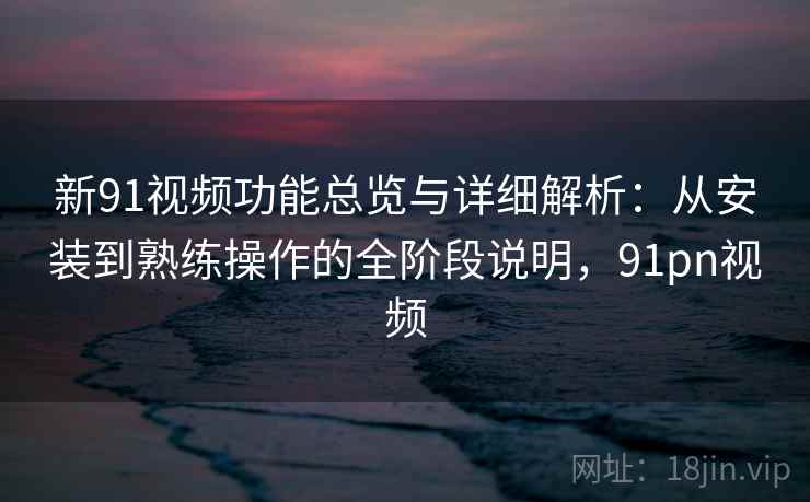 新91视频功能总览与详细解析：从安装到熟练操作的全阶段说明，91pn视频