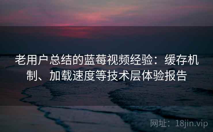老用户总结的蓝莓视频经验：缓存机制、加载速度等技术层体验报告
