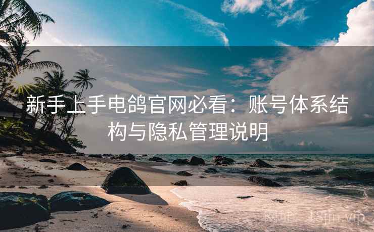 新手上手电鸽官网必看：账号体系结构与隐私管理说明