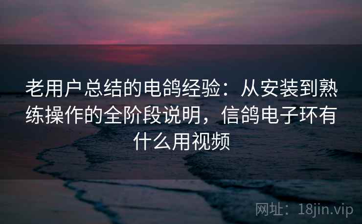 老用户总结的电鸽经验：从安装到熟练操作的全阶段说明，信鸽电子环有什么用视频