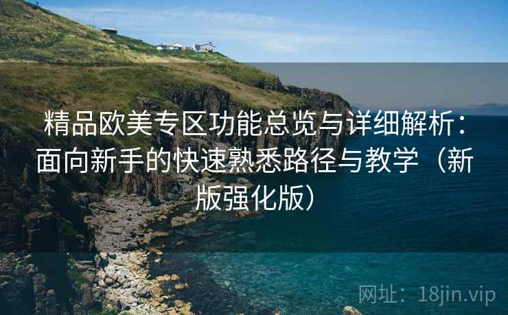 精品欧美专区功能总览与详细解析：面向新手的快速熟悉路径与教学（新版强化版）