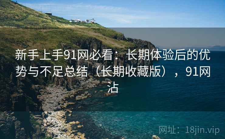 新手上手91网必看：长期体验后的优势与不足总结（长期收藏版），91网沾