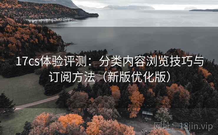 17cs体验评测：分类内容浏览技巧与订阅方法（新版优化版）