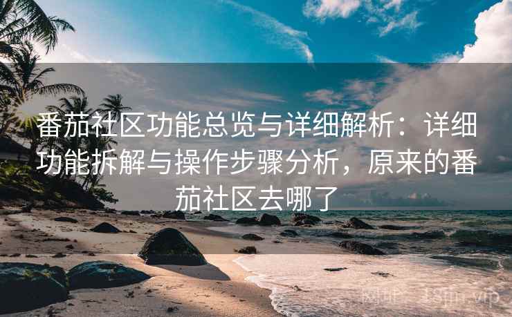 番茄社区功能总览与详细解析：详细功能拆解与操作步骤分析，原来的番茄社区去哪了