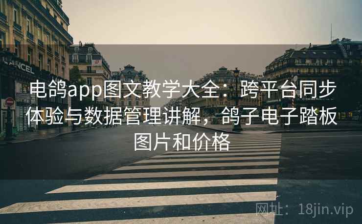 电鸽app图文教学大全：跨平台同步体验与数据管理讲解，鸽子电子踏板图片和价格