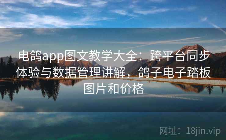 电鸽app图文教学大全:跨平台同步体验与数据管理讲解,鸽子电子踏板图片和价格 电鸽app图文教学大全:跨平台同步体验与数据管理讲解,鸽子电子踏板图片和价格