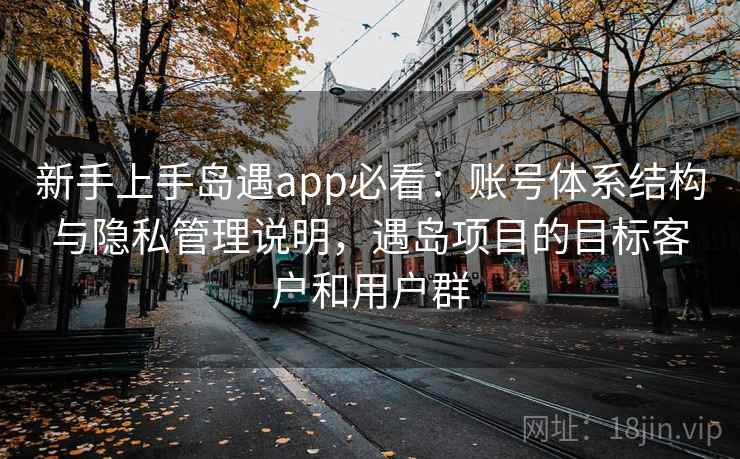 新手上手岛遇app必看：账号体系结构与隐私管理说明，遇岛项目的目标客户和用户群