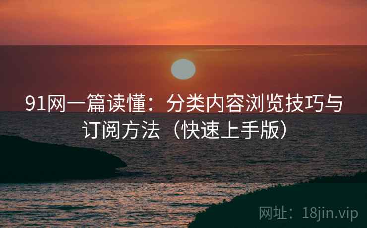 91网一篇读懂：分类内容浏览技巧与订阅方法（快速上手版）