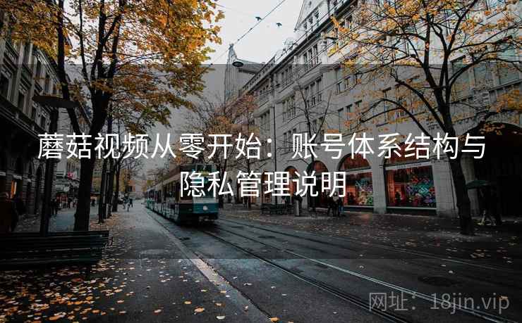 蘑菇视频从零开始：账号体系结构与隐私管理说明