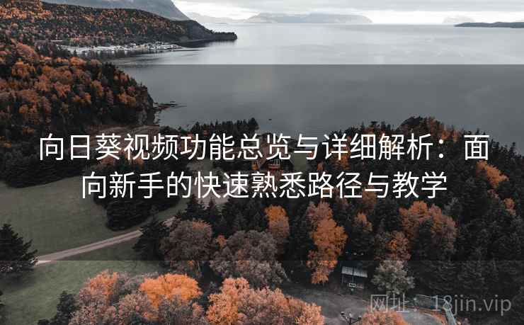 向日葵视频功能总览与详细解析：面向新手的快速熟悉路径与教学