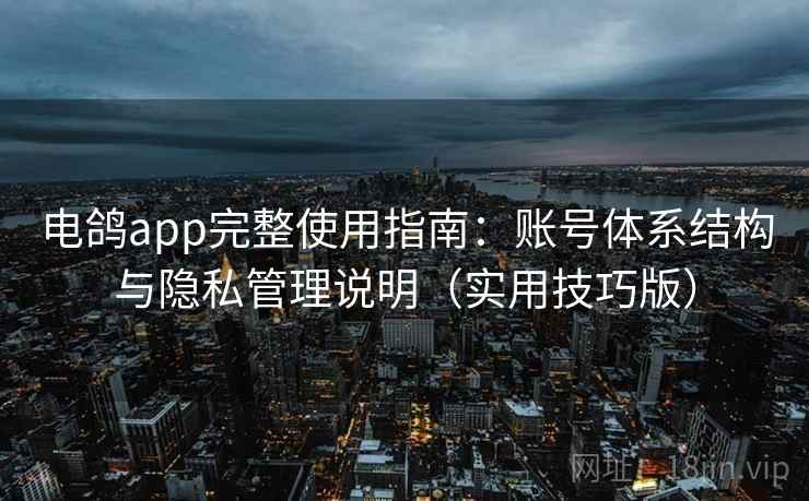 电鸽app完整使用指南：账号体系结构与隐私管理说明（实用技巧版）