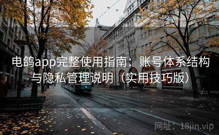 电鸽app完整使用指南：账号体系结构与隐私管理说明（实用技巧版）