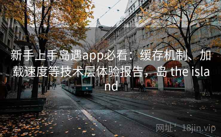 新手上手岛遇app必看：缓存机制、加载速度等技术层体验报告，岛 the island