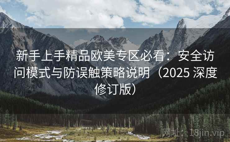 新手上手精品欧美专区必看：安全访问模式与防误触策略说明（2025 深度修订版）