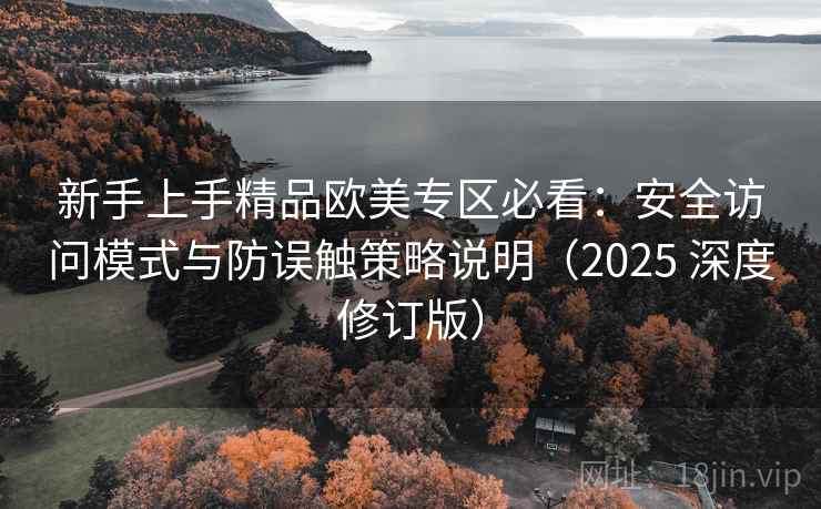 新手上手精品欧美专区必看：安全访问模式与防误触策略说明（2025 深度修订版）